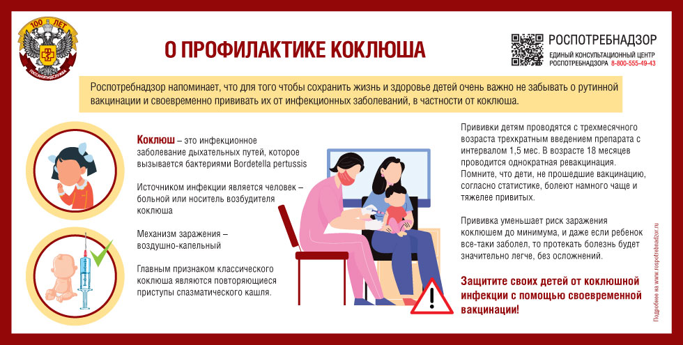 297x150 Koklysh