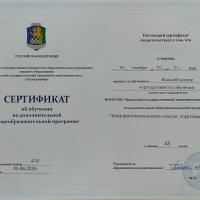 Предпринимательство со школьной скамьи: учимся у экспертов и получаем документ Уральского государственного экономического университета